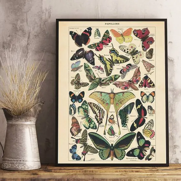 Posters / Tapestry*Boogzel Clothing Butterfly Vintage Poster