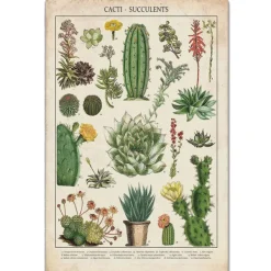 Posters / Tapestry*Boogzel Clothing Cacti and Succulents Vintage Poster