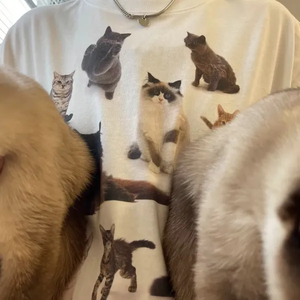 Aesthetic T-Shirts & Graphic Tees*Boogzel Clothing Cat Print Aesthetic T-Shirt