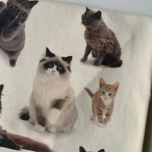 Aesthetic T-Shirts & Graphic Tees*Boogzel Clothing Cat Print Aesthetic T-Shirt