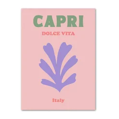 Posters / Tapestry|Aesthetic Room Decor*Boogzel Clothing Danish Pastel Canvas Posters