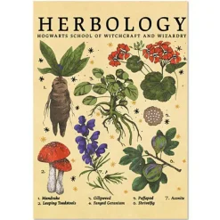 Posters / Tapestry*Boogzel Clothing Herbology Vintage Poster