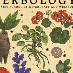Posters / Tapestry*Boogzel Clothing Herbology Vintage Poster