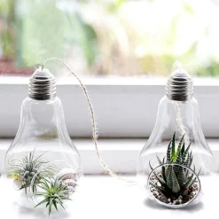 Flower Vases|Aesthetic Room Decor*Boogzel Clothing Light Bulb Hanging Vase