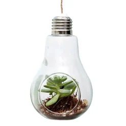 Flower Vases|Aesthetic Room Decor*Boogzel Clothing Light Bulb Hanging Vase
