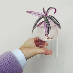 Flower Vases|Aesthetic Room Decor*Boogzel Clothing Mini Spherical Glass Vase