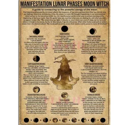 Posters / Tapestry*Boogzel Clothing Moon Magic Vintage Poster