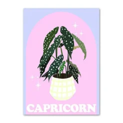 Posters / Tapestry|Aesthetic Room Decor*Boogzel Clothing Pastel Zodiac Signs Canvas Poster