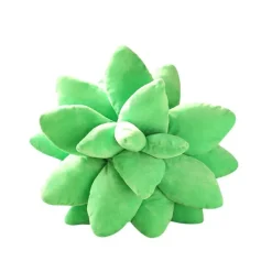 Aesthetic Bedroom|Aesthetic Room Decor*Boogzel Clothing Plant Mom Aesthetic Succulent Pillow