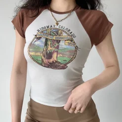 Aesthetic T-Shirts & Graphic Tees*Boogzel Clothing Ridgway Vintage T-Shirt Brown