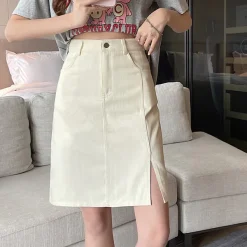 Skirts*Boogzel Clothing Secret Crush Knee-Length Skirt