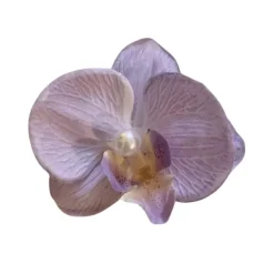 Hair Accessories*Boogzel Clothing Tropical Orchid Hair Clip
